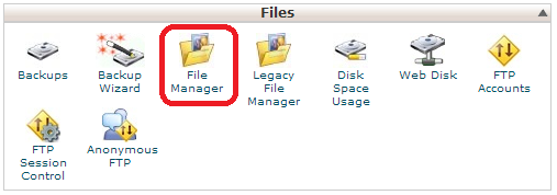 File Manager